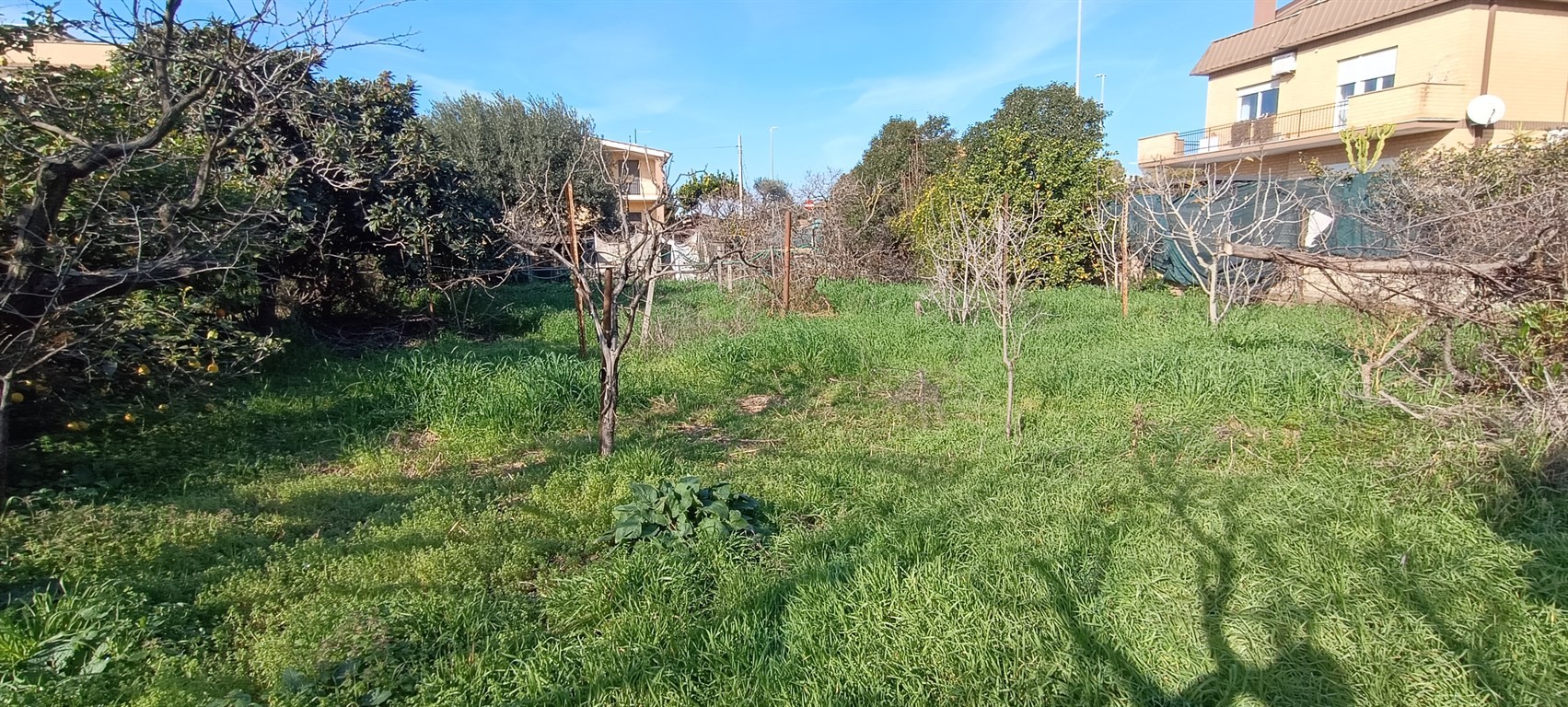 Vendesi Terreno edificabile